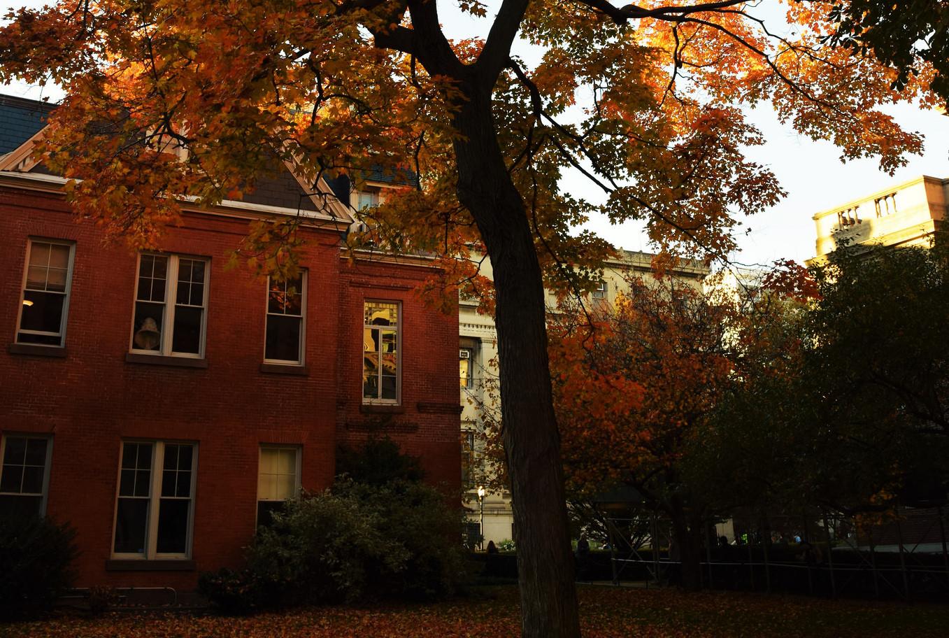 Maison francaise with fall foliage at sunset