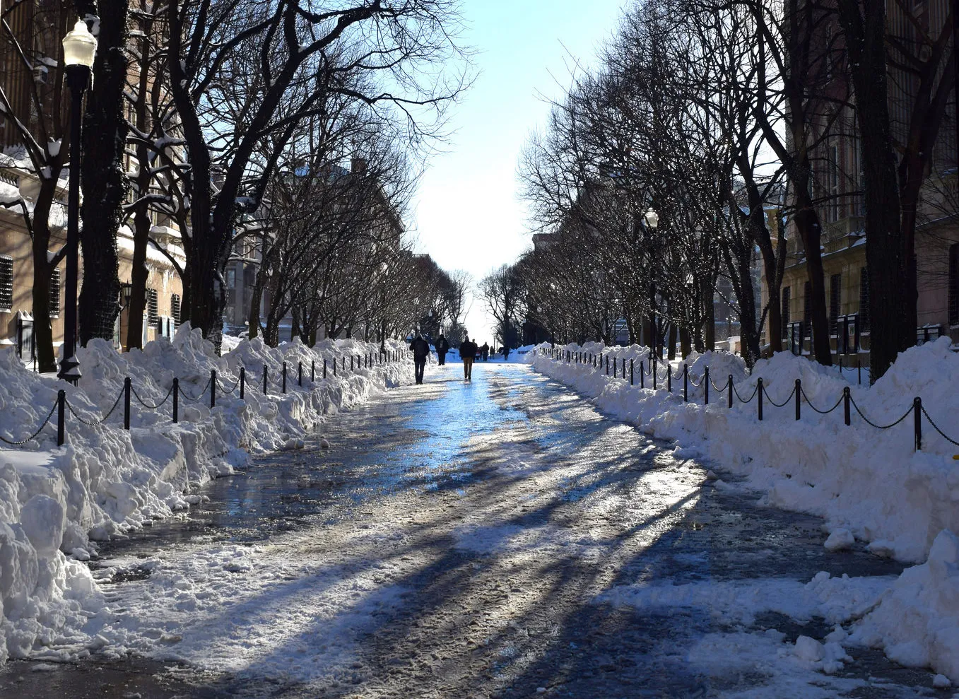 College walk