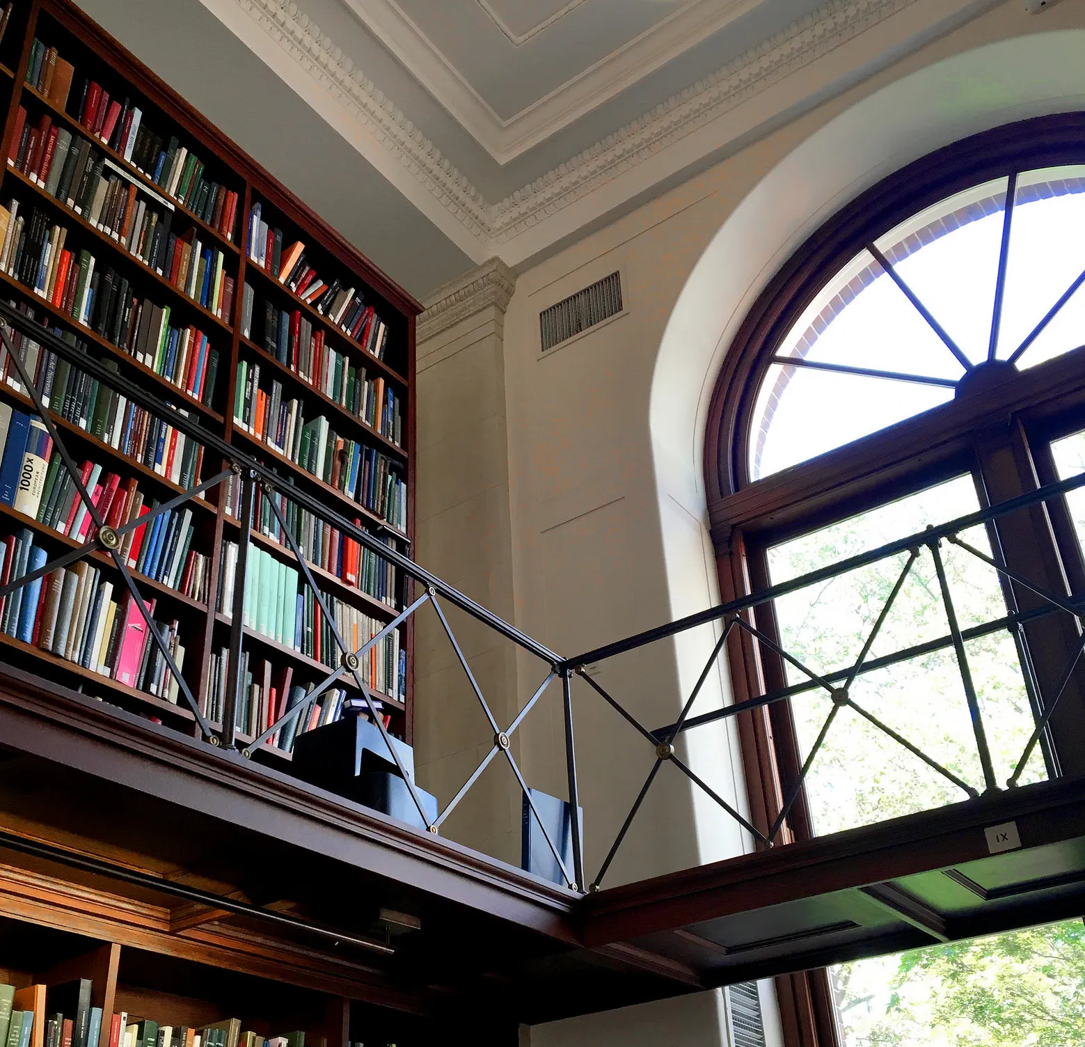 bookshelf in unknown library near window