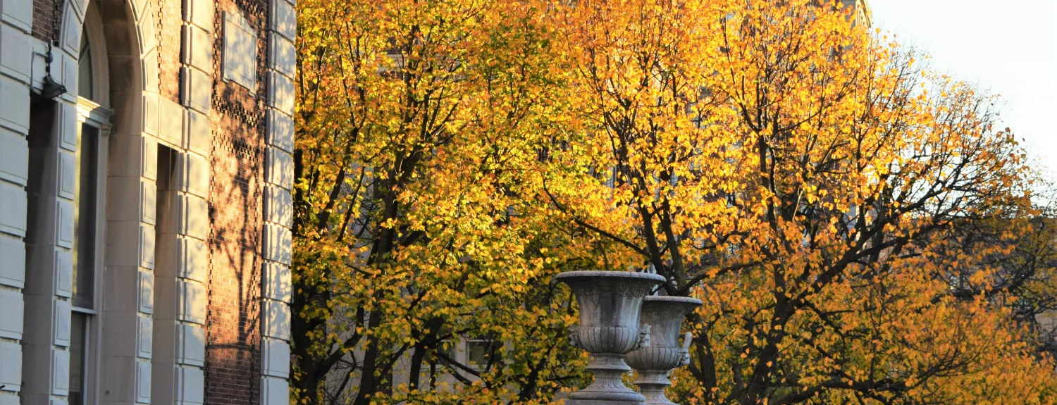 Fall foliage along Kent Hall.